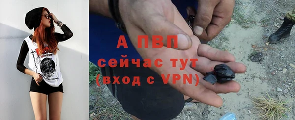 сатива Медногорск