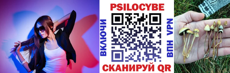 продажа наркотиков  Неман  Псилоцибиновые грибы Magic Shrooms 