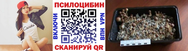 Псилоцибиновые грибы прущие грибы Неман