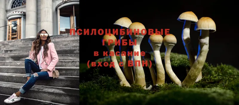 Псилоцибиновые грибы Cubensis  купить наркотики цена  Неман 